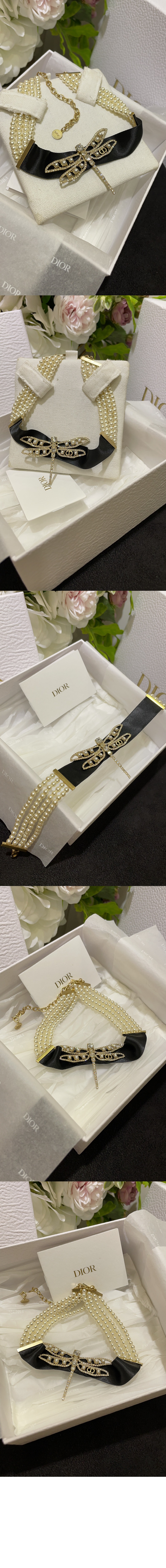 미러급레플리카사이트 | 명품레플리카 전문 쇼핑몰  | 퍼스트원 - 나이트 허바리움 목걸이 N2831 &gt; 디올