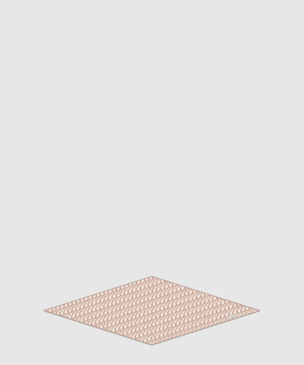 Oblique Dior 다이아몬드 스카프 52DOB